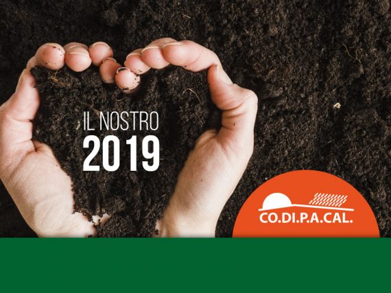 Vi auguriamo un buon anno – Condifesa Calabria