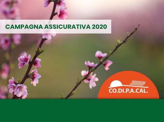 Campagna assicurativa 2020