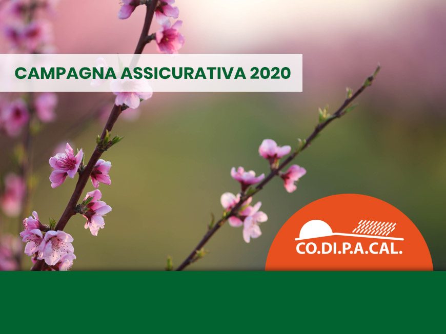 Campagna assicurativa 2020