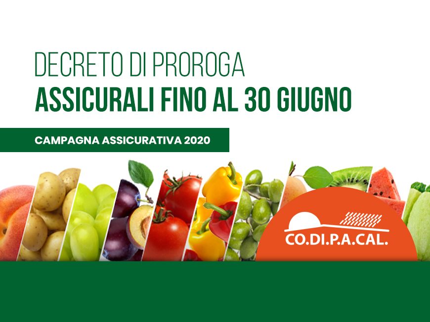 campagna assicurativa 2020