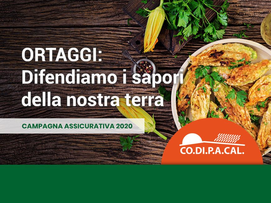 Ortaggi