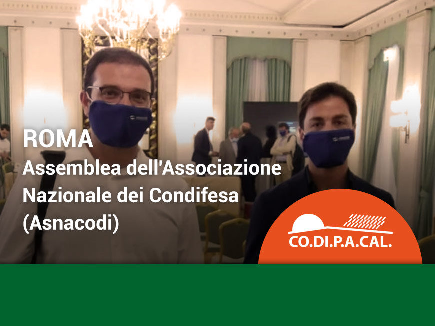 la Calabria degli agricoltori