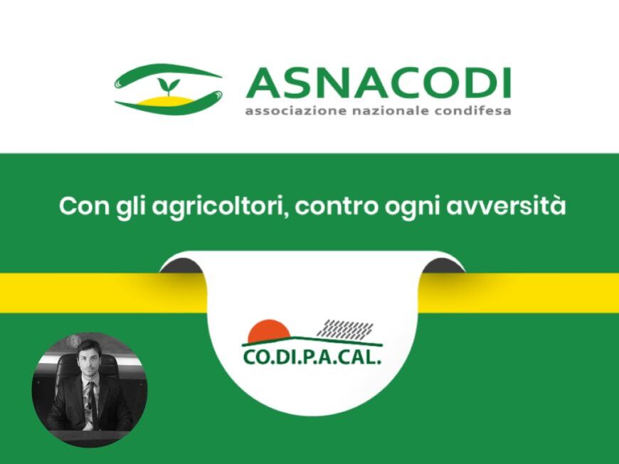 CdA Asnacodi