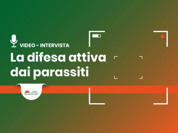difesa attiva dai parassiti