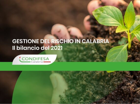 Bilancio 2021 sulla gestione del rischio in Calabria