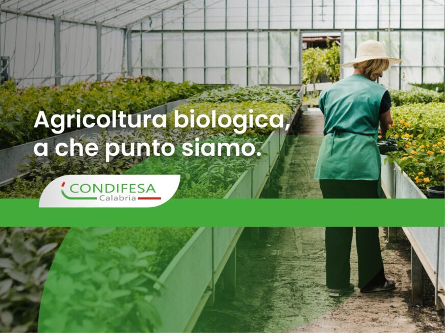 Una persona di spalle, con un cappello di paglia e un grembiule verde, cura delle piante all