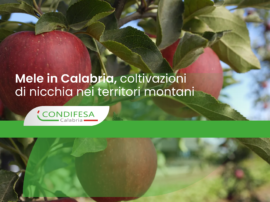 mele gala