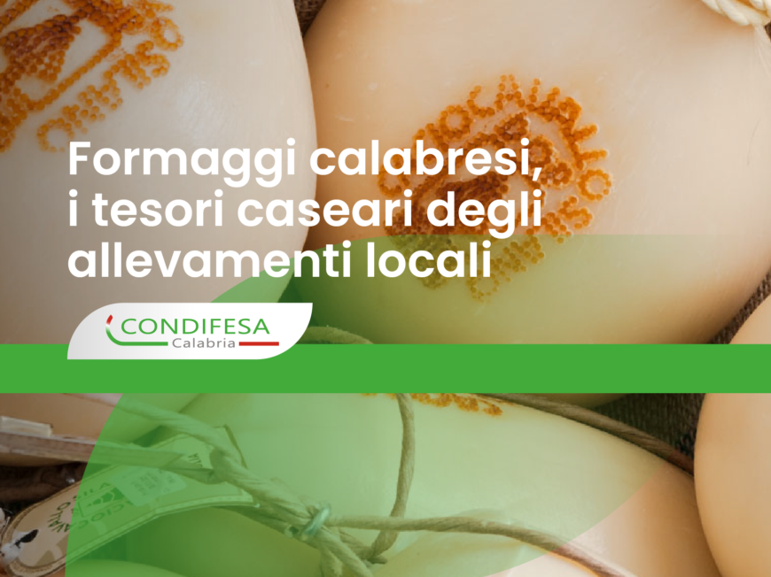 Caciocavallo silano
