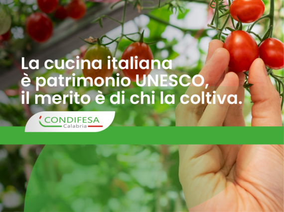 grappolo di pomodori