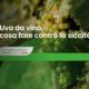 uva da vino