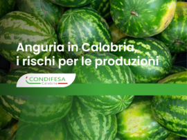 Anguria
