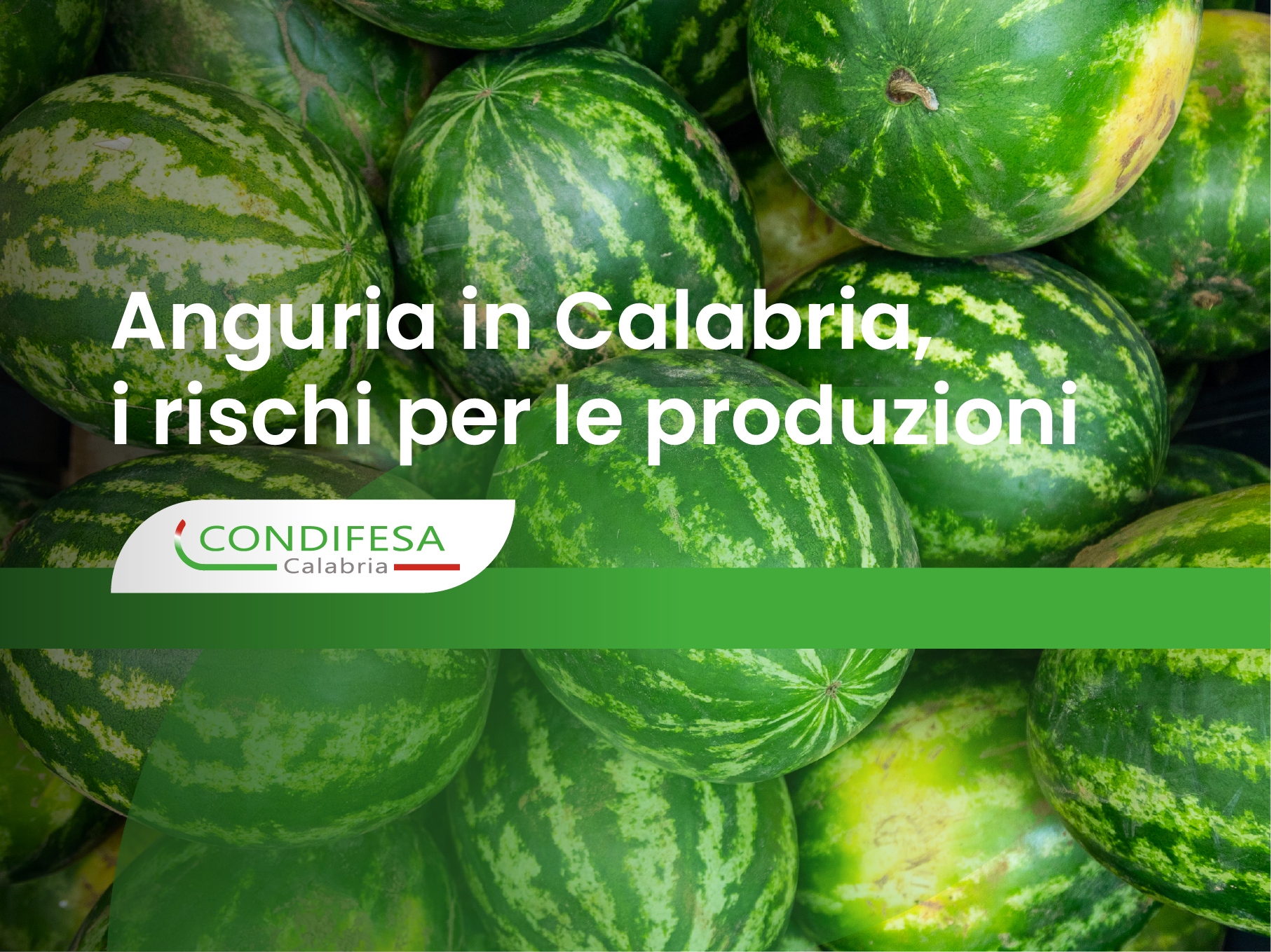 Anguria