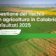 Gestione del rischio