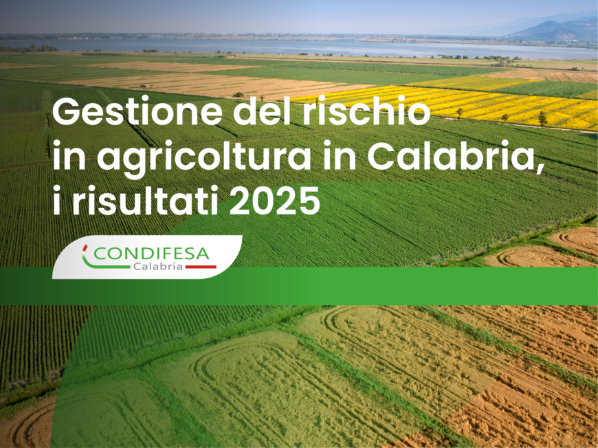 Gestione del rischio