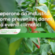 pianta di peperoni