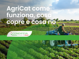 Una persona intenta ad arare un campo