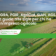 Campo arato