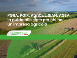 Campo arato