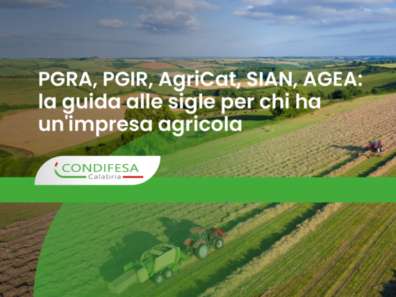 Campo arato