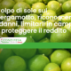 bergamotti