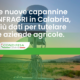 Primo piano di una stazione di rilevamento in un campo agricolo