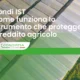 Fondi IST