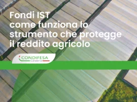 Fondi IST