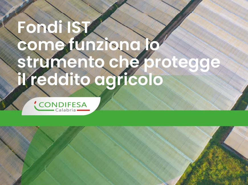Fondi IST